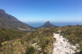Views of Table Mountain and Lions Head from Devils Peak