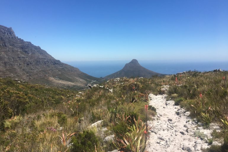 Views of Table Mountain and Lions Head from Devils Peak