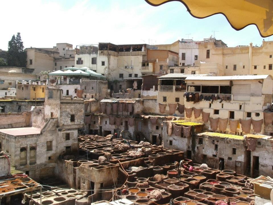 Fes Tanneries, Morocco road trip