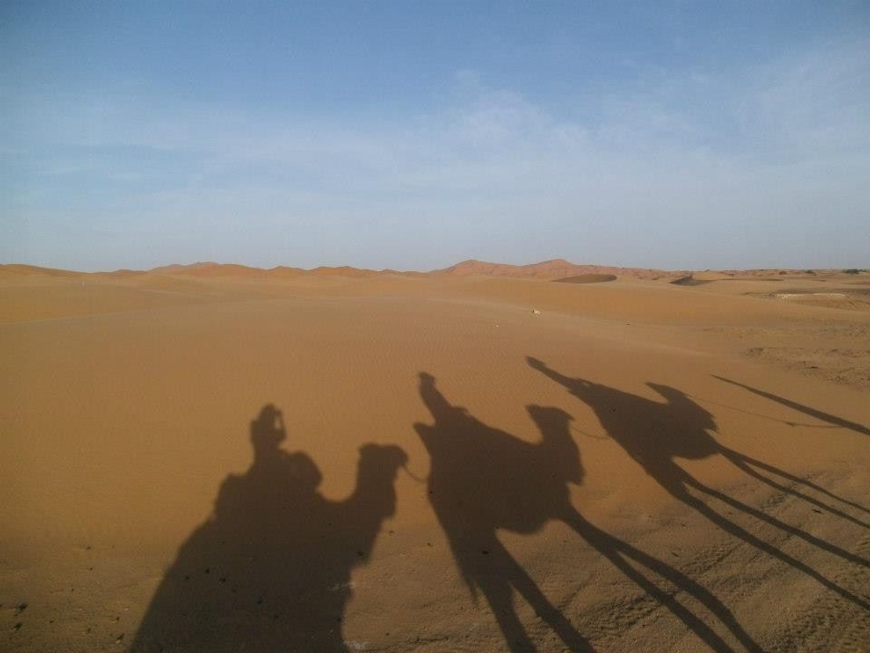 Camel shadows in the Sahara, Morocco road trip