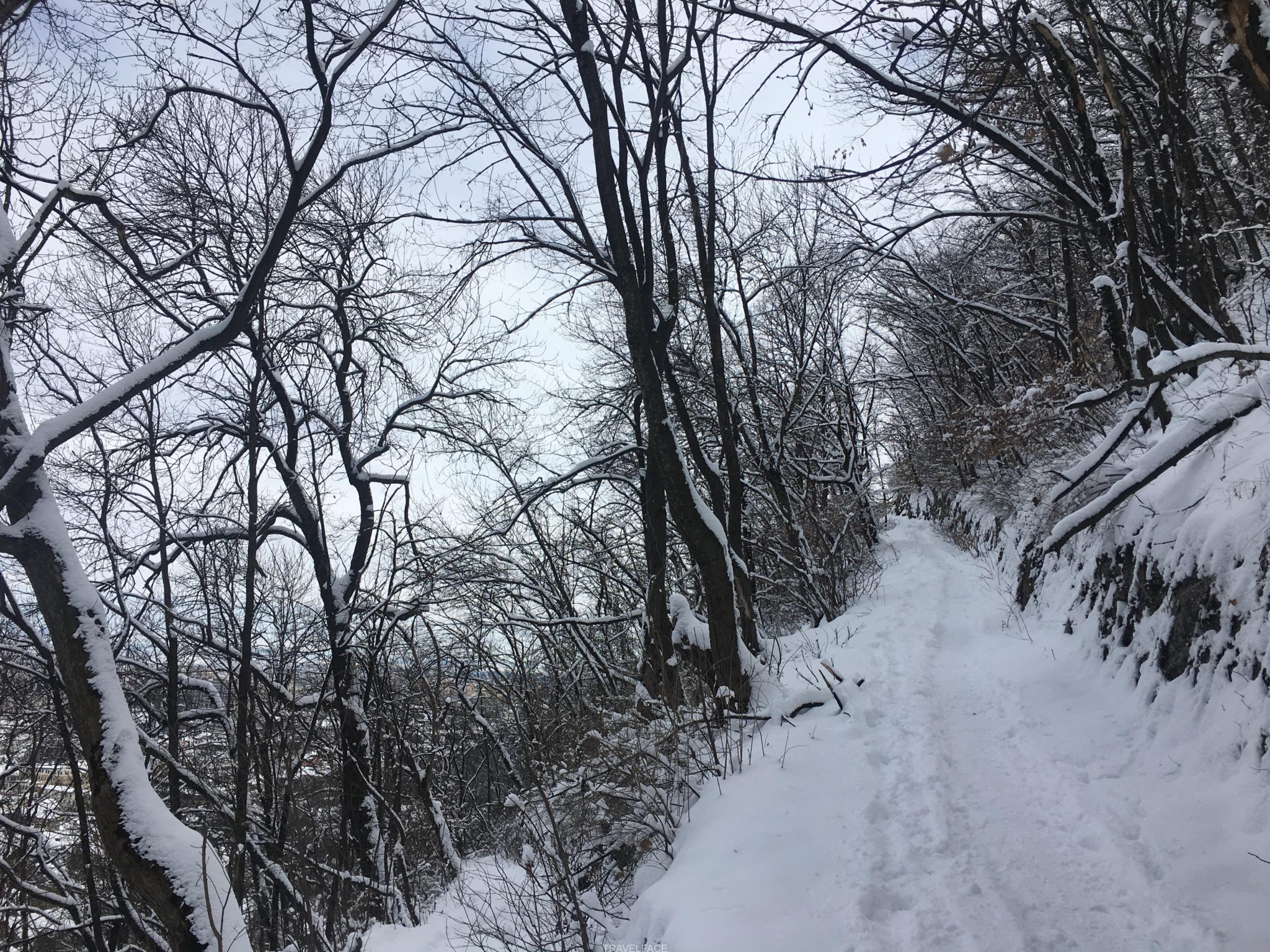 snow covered hiking path
