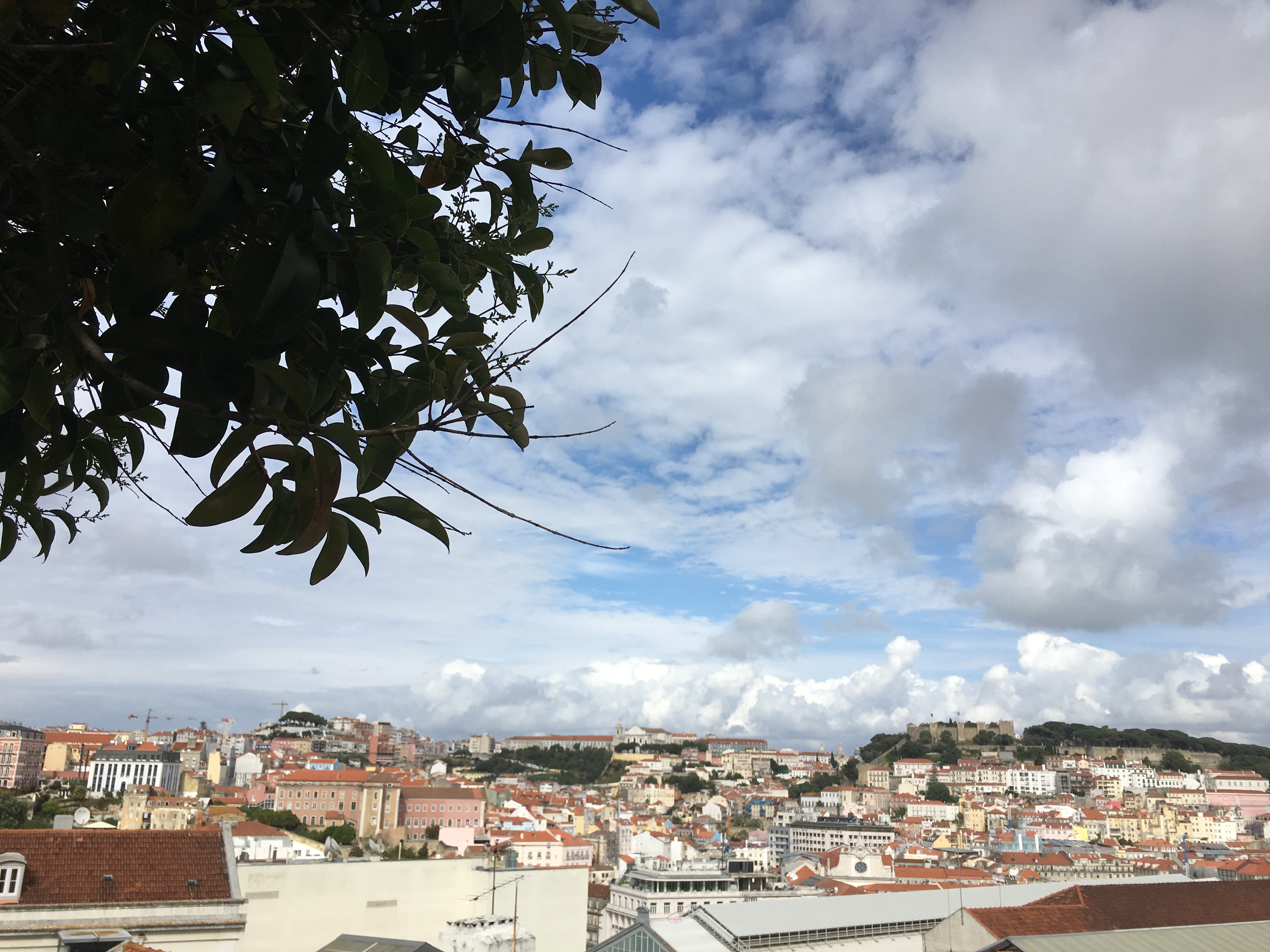 Viewpoint in Lisbon, Lisbon must dos